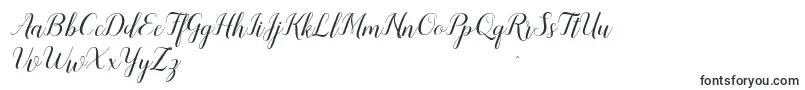 Czcionka Sandhya – czcionki kaligraficzne