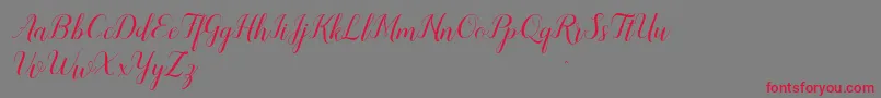 Sandhya Font – Red Fonts on Gray Background