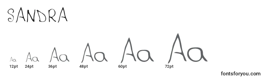 Размеры шрифта SANDRA   (139598)