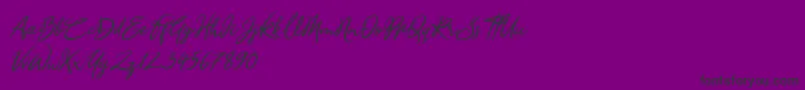Sandra Belhock Italic-fontti – mustat fontit violetilla taustalla