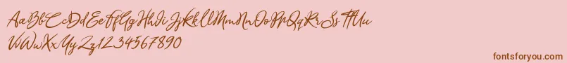 Sandra Belhock Italic Font – Brown Fonts on Pink Background