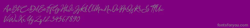 Sandra Belhock Italic-Schriftart – Graue Schriften auf violettem Hintergrund