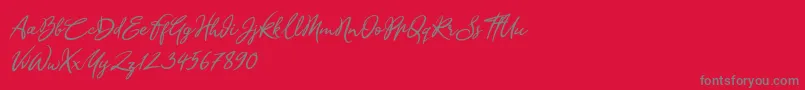 Sandra Belhock Italic Font – Gray Fonts on Red Background