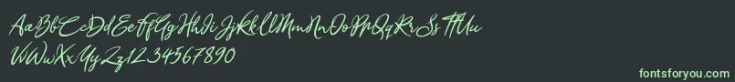 Sandra Belhock Italic Font – Green Fonts on Black Background