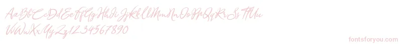 フォントSandra Belhock Italic – ピンクのフォント