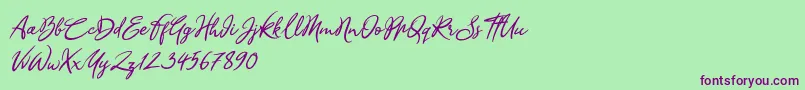 Sandra Belhock Italic-Schriftart – Violette Schriften auf grünem Hintergrund