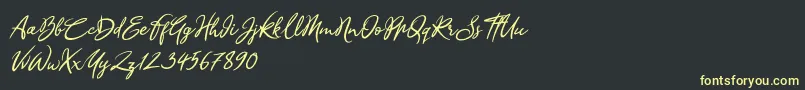Sandra Belhock Italic Font – Yellow Fonts on Black Background