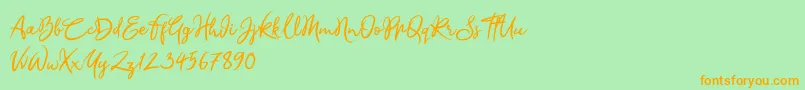 Sandra Belhock Font – Orange Fonts on Green Background