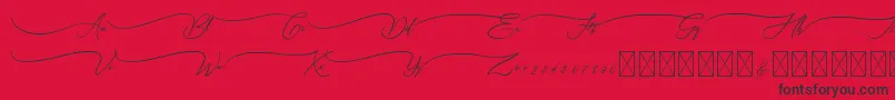 Sandrina Font – Black Fonts on Red Background
