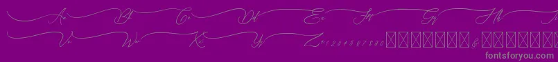 Sandrina-Schriftart – Graue Schriften auf violettem Hintergrund