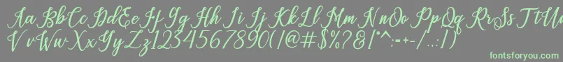 sandwich Font – Green Fonts on Gray Background