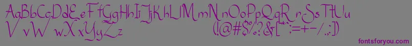 Sanggria Font – Purple Fonts on Gray Background