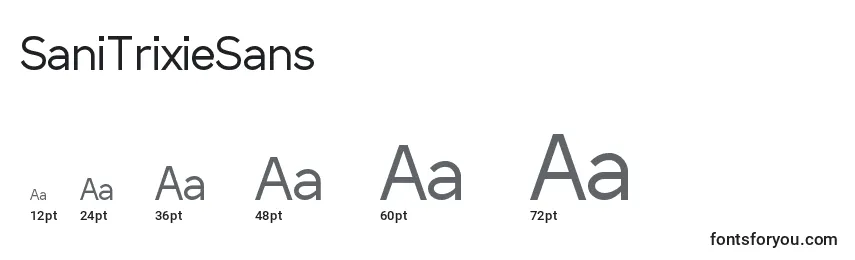 SaniTrixieSans Font Sizes