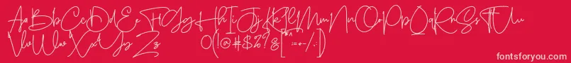 Sanpaullo Font – Pink Fonts on Red Background