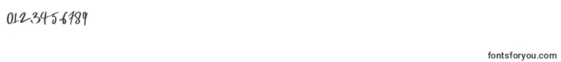 Sansa-Schriftart – Schriften für Zahlen und Nummern