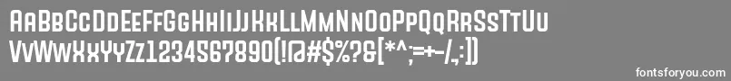 フォントSANSON Font by Situjuh 7NTypes – 灰色の背景に白い文字