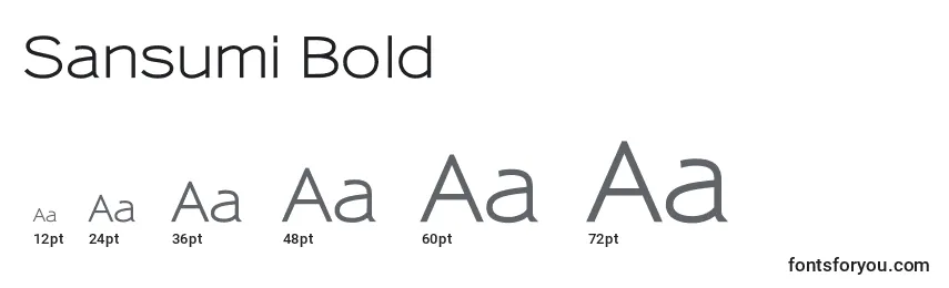 Размеры шрифта Sansumi Bold