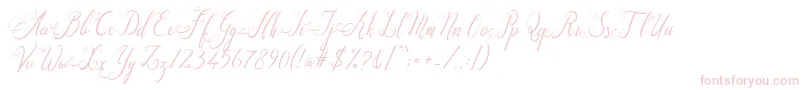 Santa Rose Font – Pink Fonts on White Background