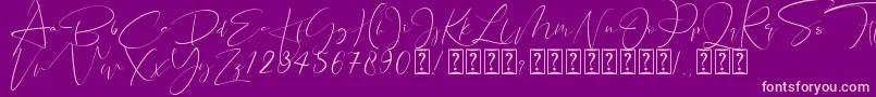 Santeria Signature Font – Pink Fonts on Purple Background