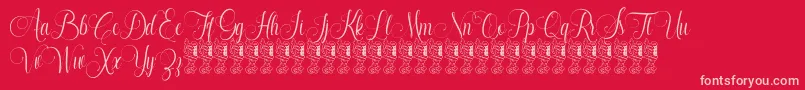 Santhana Demo-Schriftart – Rosa Schriften auf rotem Hintergrund