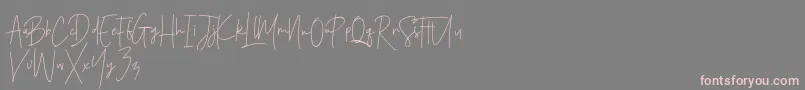 Santiago Pro Font – Pink Fonts on Gray Background