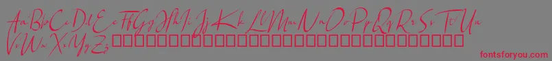 Santiago Font – Red Fonts on Gray Background
