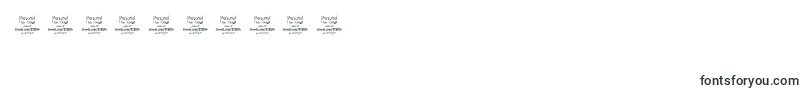 Saraqoo Font – Fonts for Numbers and Digits