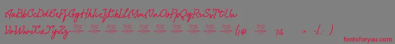 Saraqoo Font – Red Fonts on Gray Background