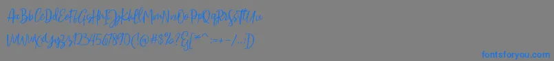 Sarmilla Script Font – Blue Fonts on Gray Background
