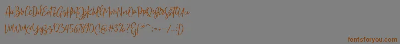 Sarmilla Script Font – Brown Fonts on Gray Background