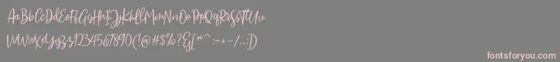 Sarmilla Script Font – Pink Fonts on Gray Background