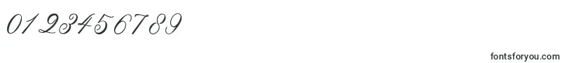 Sarodime Font – Fonts for Numbers and Digits