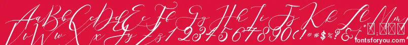 Sarodime Font – White Fonts on Red Background