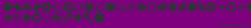 sarusFlowerDingsRB Font – Black Fonts on Purple Background