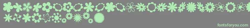 sarusFlowerDingsRB Font – Green Fonts on Gray Background