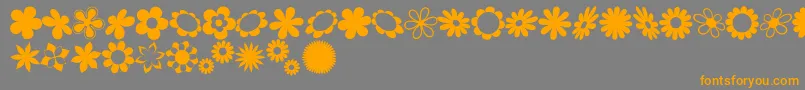 sarusFlowerDingsRB Font – Orange Fonts on Gray Background