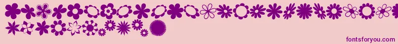 sarusFlowerDingsRB Font – Purple Fonts on Pink Background