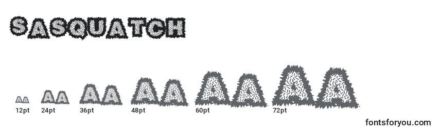 Sasquatch (139665) Font Sizes