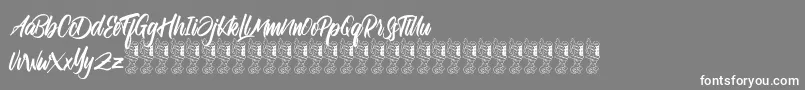 Satarland Font – White Fonts on Gray Background
