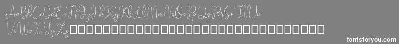 フォントSathien demo – 灰色の背景に白い文字
