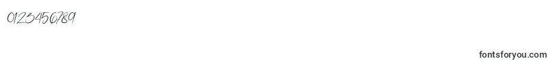 Sattersoon Font – Fonts for Numbers and Digits