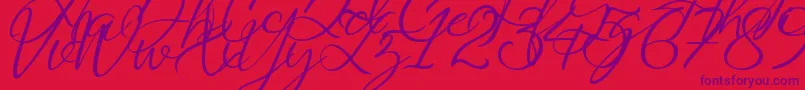 Saturdate Script Demo-Schriftart – Violette Schriften auf rotem Hintergrund