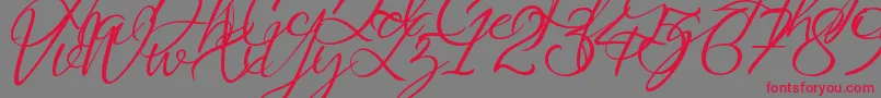 フォントSaturdate Script Demo – 赤い文字の灰色の背景