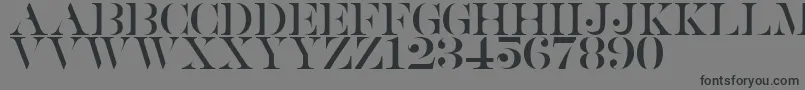 フォントSaturdate Serif – 黒い文字の灰色の背景