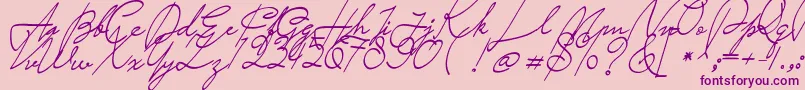 Saturday Night Font – Purple Fonts on Pink Background