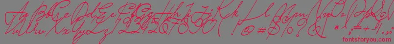 Saturday Night Font – Red Fonts on Gray Background