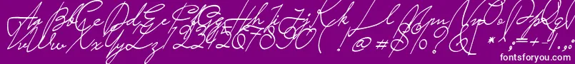 Saturday Night Font – White Fonts on Purple Background