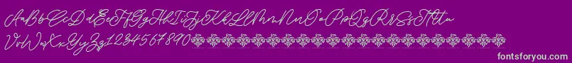 SaturdayChampagneDemo Regular Font – Green Fonts on Purple Background