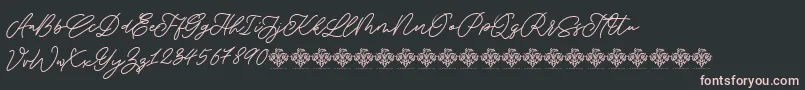 SaturdayChampagneDemo Regular-Schriftart – Rosa Schriften auf schwarzem Hintergrund