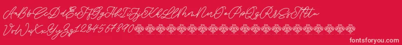 SaturdayChampagneDemo Regular Font – Pink Fonts on Red Background